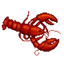 Lobster