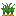 Carrots
