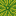 Melon