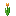 Orange Tulip