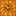 Carved Pumpkin