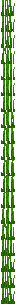 Tall Seagrass
