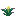Torchflower Crop